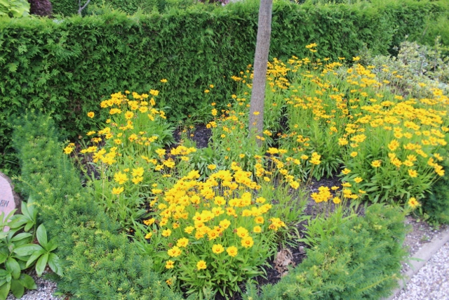 Hadsten (5) (640x427)